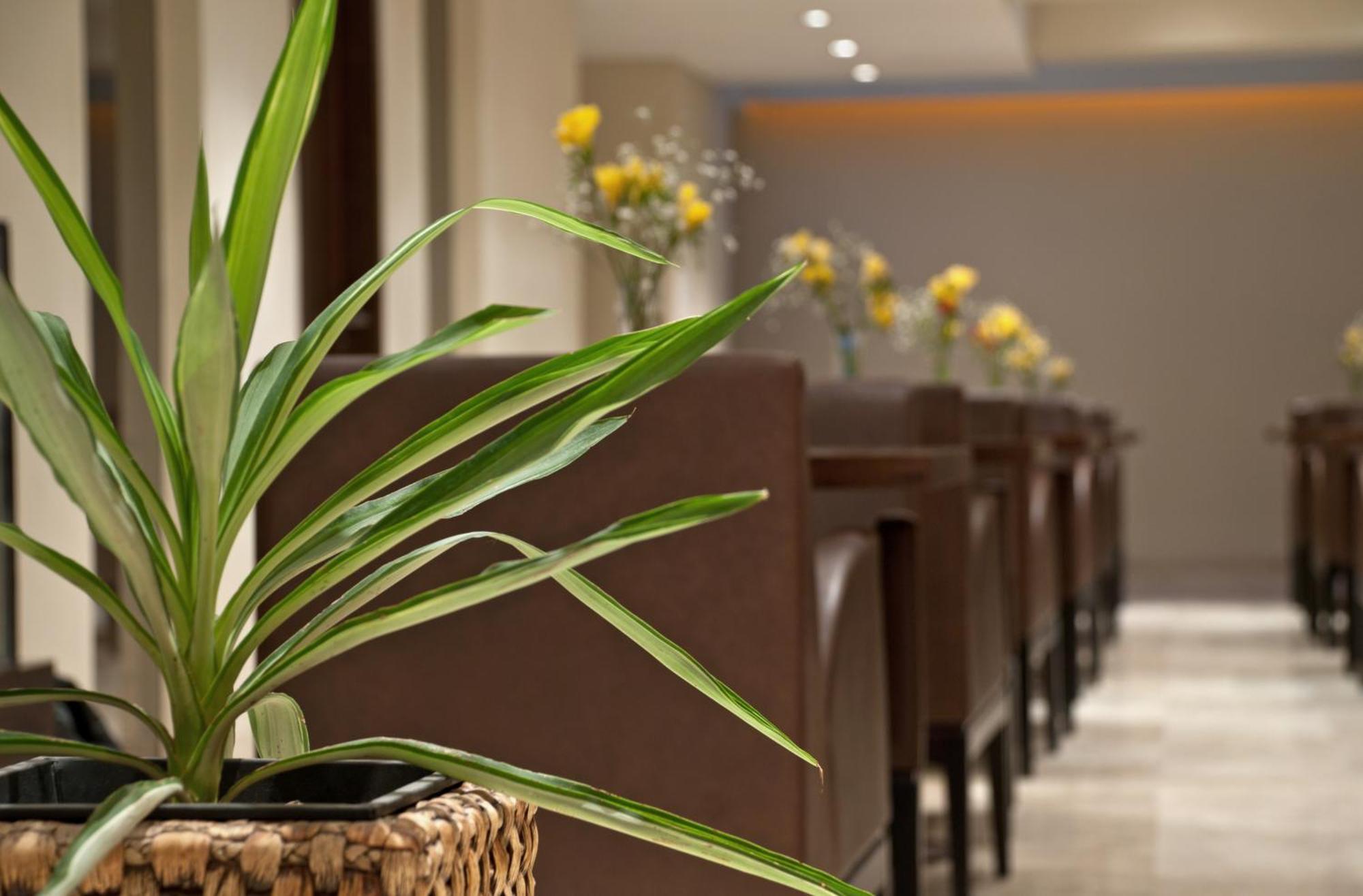 Hotel Punta Del Este มาร์เดลปลาตา ภายนอก รูปภาพ